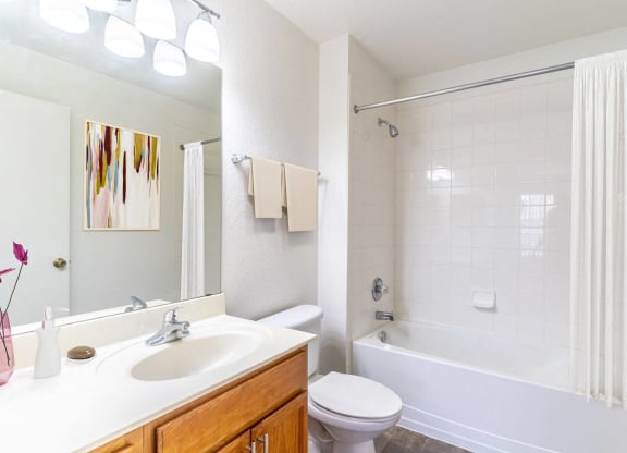 Bathroom with Tub Shower Combo