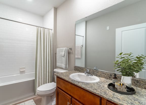 a bathroom with a shower sink and toilet and a mirror