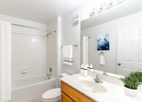 Bathroom with Tub Shower Combo