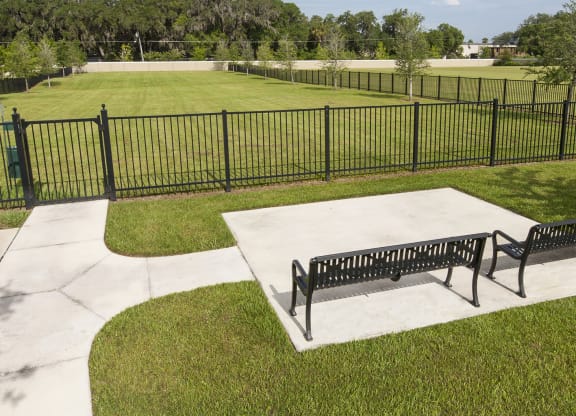Dog Park with Benches