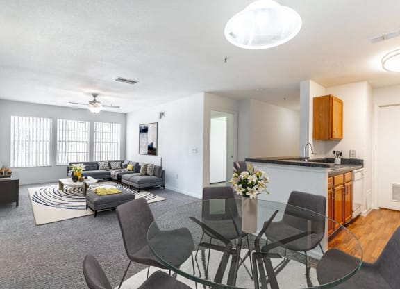 Living/Dining Area
