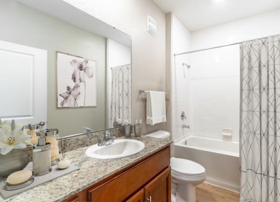 a bathroom with a sink and a shower and a toilet
