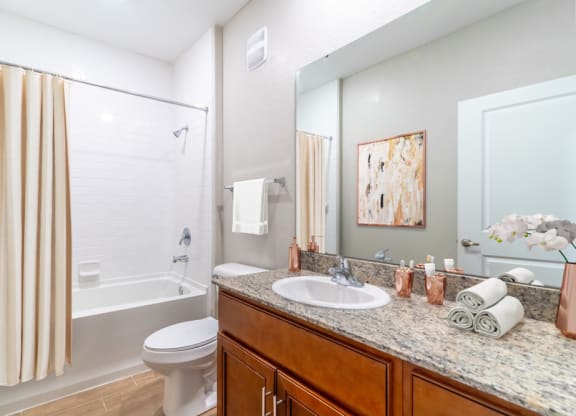 a bathroom with a sink and a shower and a toilet