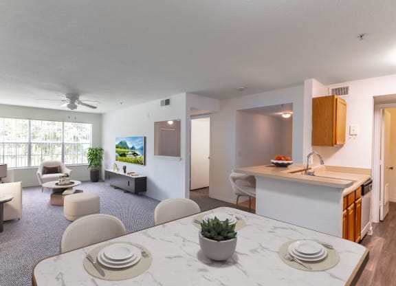 Living/Dining Area