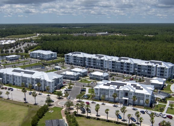 Aerial Shot