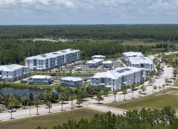 Aerial Shot