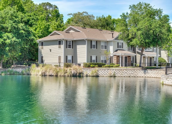 Lake view