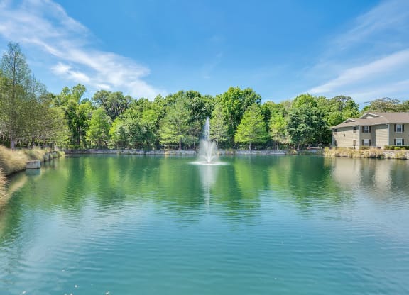 Lake View