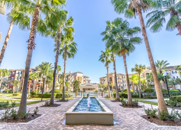 Pool Deck