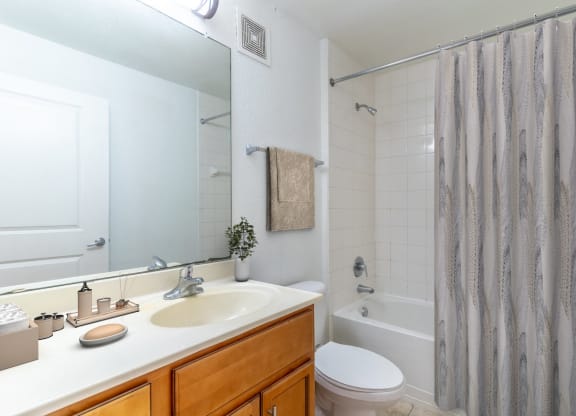 a bathroom with a shower toilet and sink