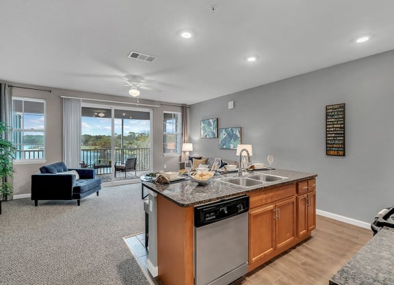 Lake view single suite kitchen