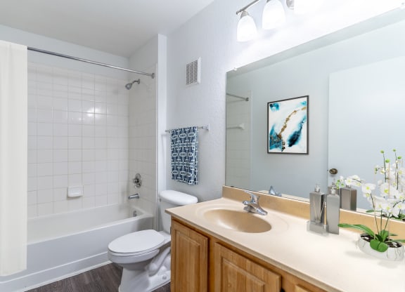 a bathroom with a white bathtub and a white toilet next to a sink with a mirror