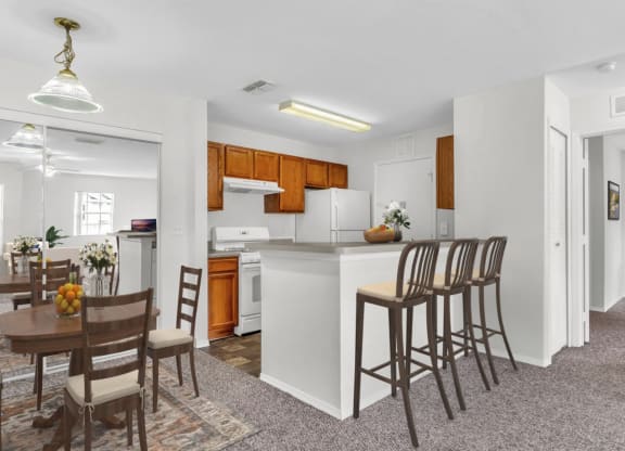 Kitchen and Dining Room