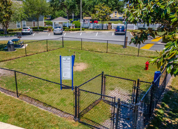 a dog park and a fire hydrant