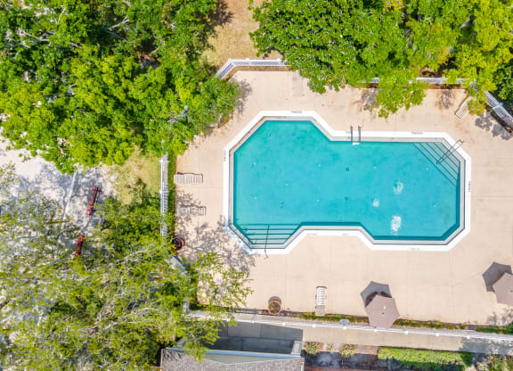 an aerial view of a swimming pool surrounded by trees