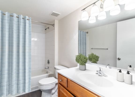 a bathroom with a white toilet next to a bathtub with a blue shower curtain