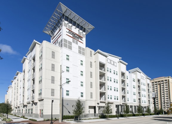 Building View
