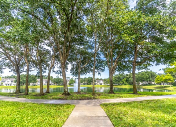 a path through a park with trees and a body of water in the background