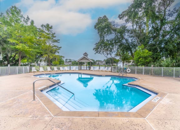 our apartments showcase a swimming pool