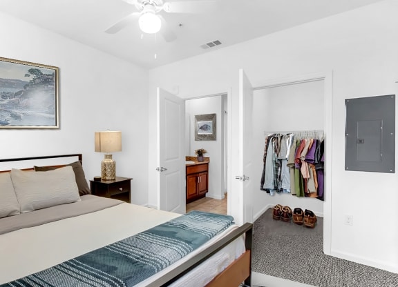 a bedroom with a bed and a closet