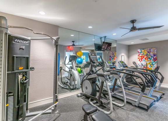 the gym at the enclave at woodbridge apartments in sugar land, tx
