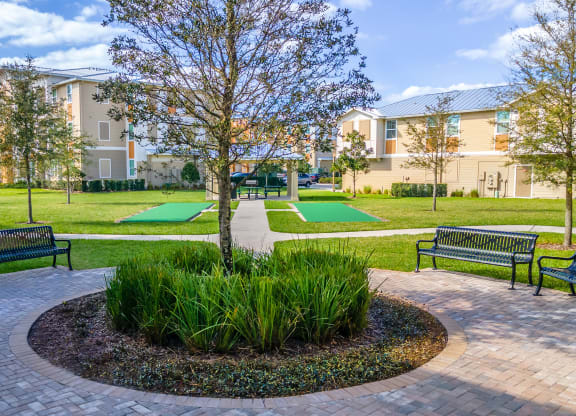 a park with a tree and benches in front of an apartment building