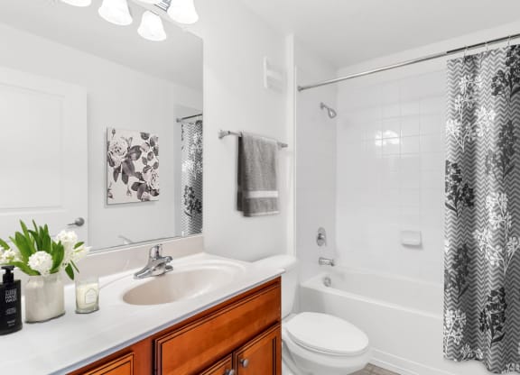 Bathroom with Shower Tub Combo