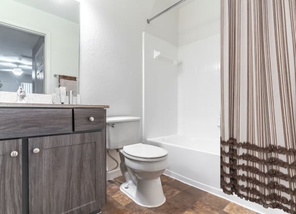 Bathroom Features Shower and Tub Combo