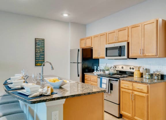 Lake view single suite kitchen