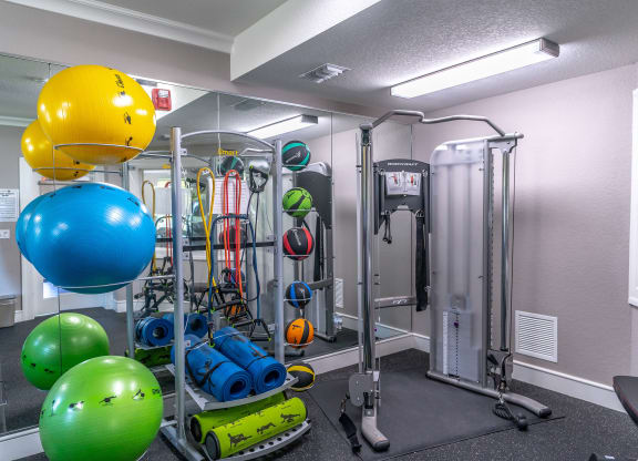 a gym with a lot of exercise equipment and weights