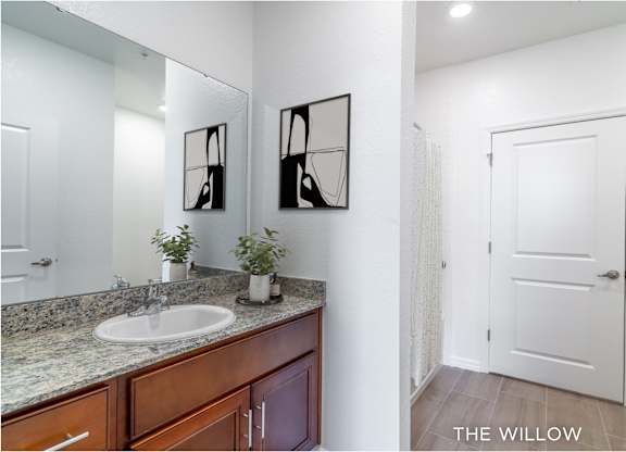A bathroom with a sink, mirror, and a plant.