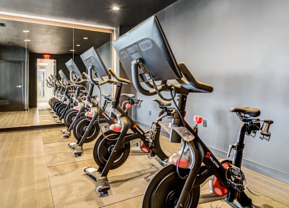 A row of stationary bikes are lined up in a room.