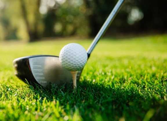 A golf ball on a tee with a driver head behind it, resting on sunlit grass with trees blurred in the background.