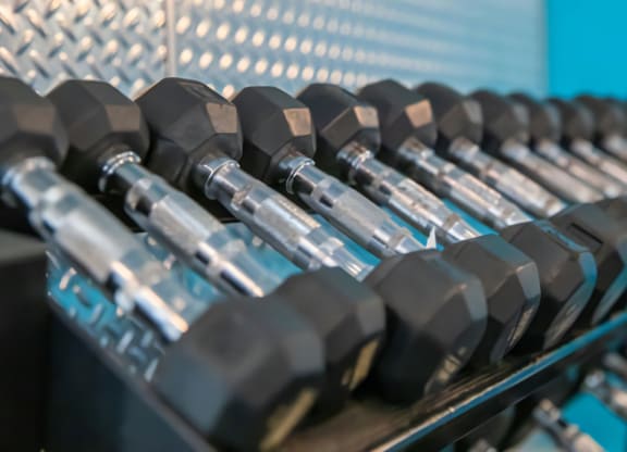 24 Hr Fitness Center with Free Weights