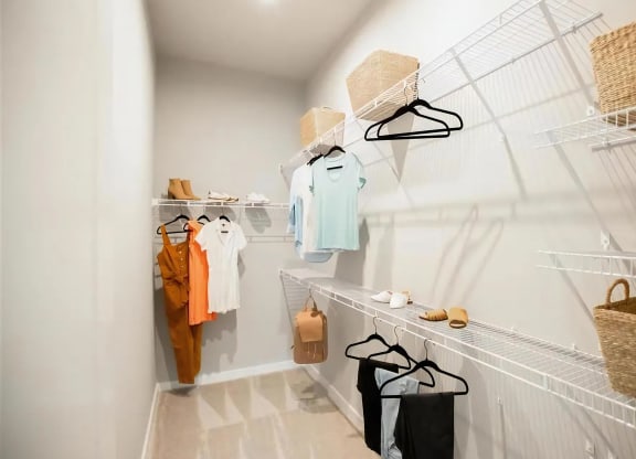 Large Walk-In Closet with Versatile Storage and Natural Carpet Flooring