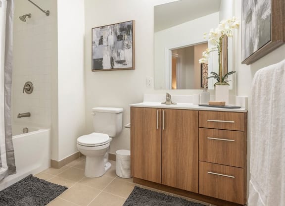 Luxurious Bathrooms with Large Showers