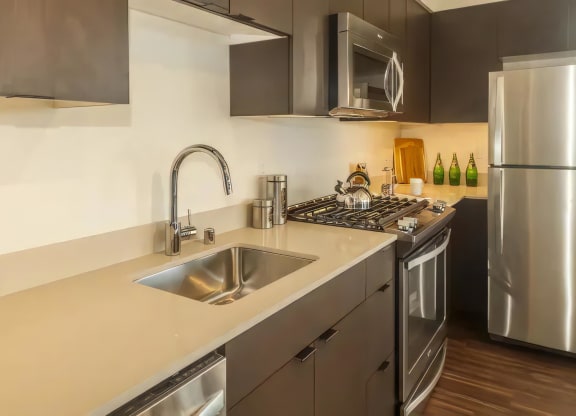 Ballard Lofts Apartment Amenities Cesarstone Countertops and Stainless Appliances