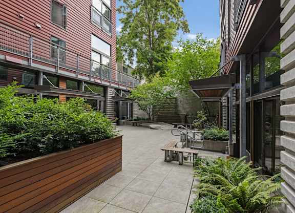 A courtyard with a wooden bench and a fern plant.
