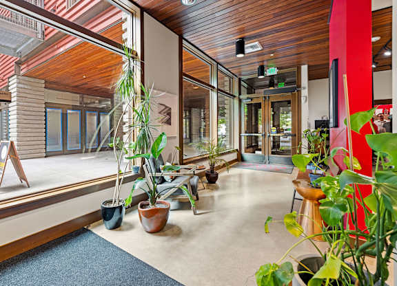 Lobbu with a lot of green plants and a blue rug.