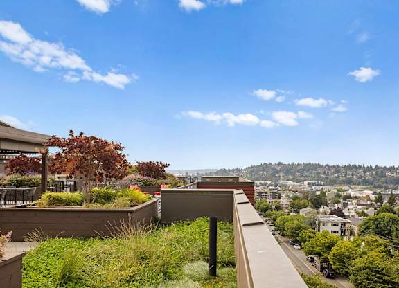 A view from a high vantage point looking down at a cityscape with a clear blue sky above.