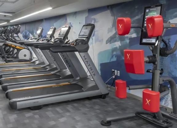 Studio with Cardio Machines