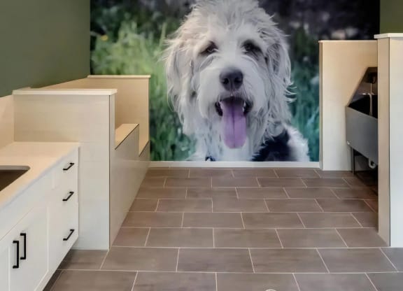Broadstone Upper Westside Community Pets Pet Friendly Community with Grooming Station