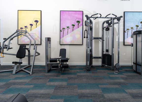 a fitness room with cardio equipment and paintings on the wall