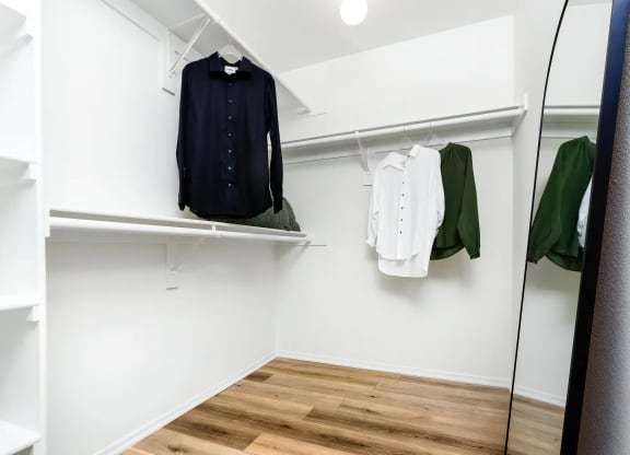 Large Walk In Closet