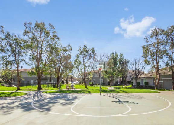 Onsite Outdoor Basketball Court