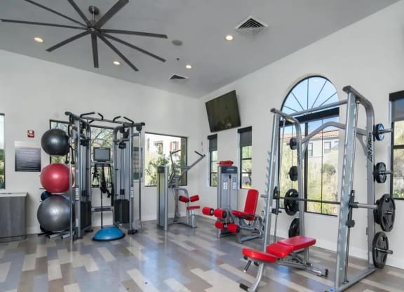 24 Hour Fitness Center with Weights