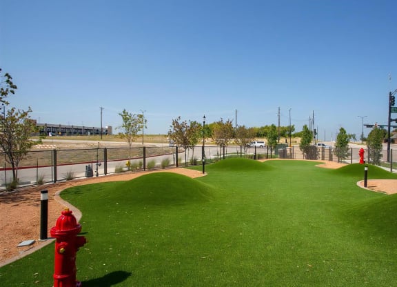Fenced-In Dog Park Featuring Rolling Turf and Pet-Friendly Zones