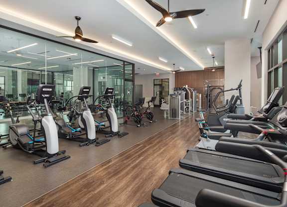 A gym with treadmills, elliptical machines, and other exercise equipment.