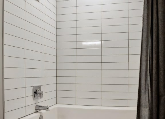 Spa Inspired Bathroom with Large Soaking Tub