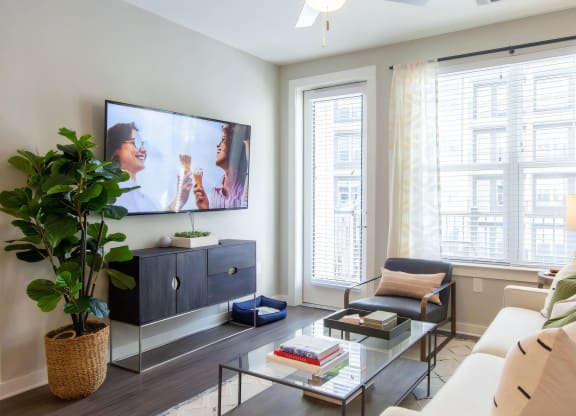 Living Room with Plenty of Natural Light